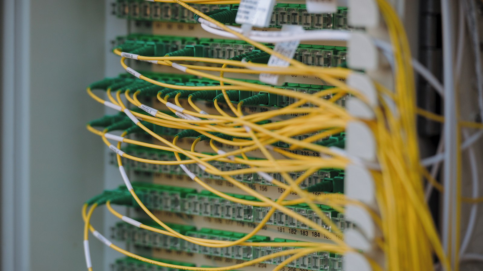 Website Hosting Management team at work